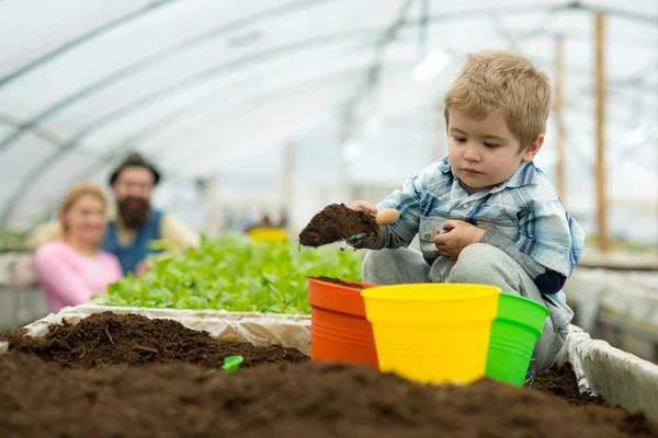 geodome. geodome yeni teknoloji. geodome sera büyüyen bitkiler için. modern geodome gelecekte Bahçe. çiçek ile çalışma.