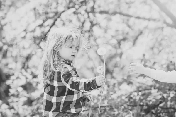 Niño pequeño dar flor de diente de león a mano del niño — Foto de Stock