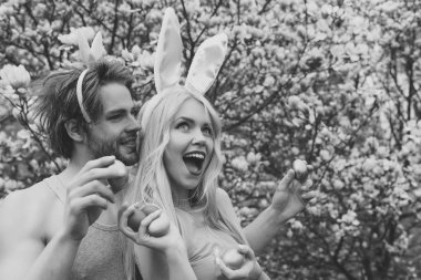 Çift renkli yumurta tutan tavşan kulakları aşık