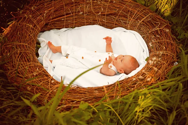 Ευτυχισμένος νεογέννητο μωρό σε φωλιά λυγαριά. Πακέτο ευτυχισμένο μωρό. Νεογέννητο κορίτσι ή αγόρι ευτυχισμένη χαμογελώντας. Κάθε πουλί συμπαθεί τη δική της φωλιά. Γεννιέται η ευτυχία — Φωτογραφία Αρχείου