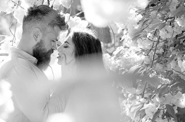 Concepto de pasión y amor. Hombre y mujer besándose en el jardín floreciente en el día de primavera. Pareja enamorada pasar tiempo en el jardín de primavera, flores en el fondo, desenfocado, de cerca. Un par de abrazos cerca de árboles de sakura . — Foto de Stock