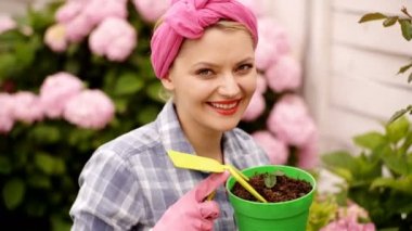 Çiçek bakım ve sulama. toprak ve gübre. Ortanca. Bahar ve yaz. Sera çiçekler. mutlu kadın bahçıvan çiçekli. kadın çiçek bahçesinde bak. Yorgun kadın.