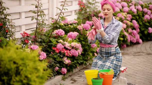 庭の花の世話を女性。幸せな女庭師の花。アジサイ。春と夏。温室の花。花の世話と水やり。土壌と肥料。彼女の愛の花. — ストック動画
