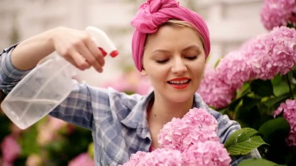 Vrouw verzorging van bloemen in de tuin. Gelukkige vrouw tuinman met bloemen. Bloem zorg en drenken. gronden en meststoffen. Broeikasgassen bloemen. Hortensia. Voorjaar en de zomer. Ik ben dol op het werken met planten. — Stockvideo