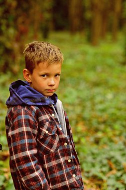 Kamp için mükemmel bir gün. Küçük çocuk ormanda kamp gitti. Küçük çocuk sonbahar ormanda hiking. Kamp gezisi zevk