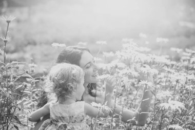 Yaz tatili, doğa, güzellik