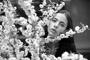 Kiraz ağacı pembe çiçekler, güzellik ile genç kadın