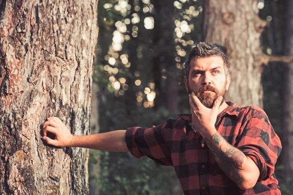 Yaz orman içinde Yeşil ağaç altında adam sahanın