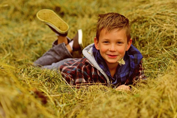 Весенняя пора жизни. Мальчику нравится весна в сельской местности. Мальчик расслабляется лежа на сене. Весна вернулась. — стоковое фото