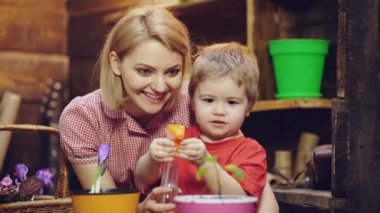 Anne ve oğlu yeni yerleştirilmiş çiçekler sulanıyor. Sulama ve çiçekler için bakım. Anne ve çocuk bahar çiçek tencereye püskürtme. Su şişesi veya spreyi püskürtme.
