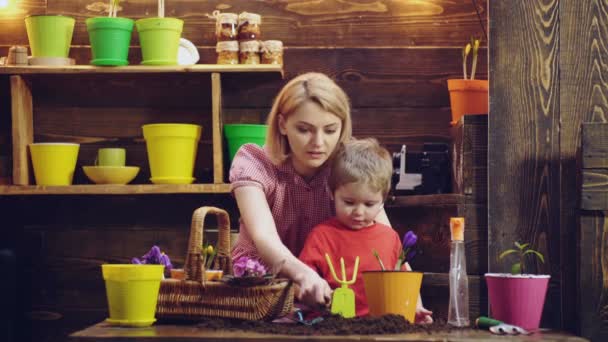 Menino bonito ajuda sua mãe a cuidar de plantas. A mãe e o filho estavam envolvidos em jardinagem. Conceito de primavera, natureza e cuidado. Cuidar das plantas. Reúna as sementes do amor . — Vídeo de Stock