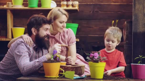 Family has fun arranging and watering flowers. Protection concept. Little child help mother and father to protect flower, protection. Mother and father with son provide protection for houseplant. — Stock Video