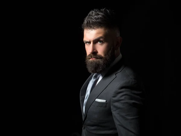 Un modello da uomo ricco. Concetto di uomo d'affari. Uomo d'affari in abito grigio scuro con lunga barba. Uomo in abito classico, camicia e cravatta . — Foto Stock