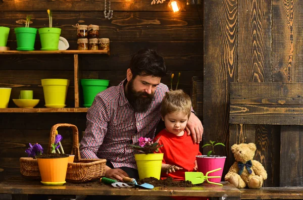 Baba ve oğul. bahar çiçekleri ile mutlu bahçıvanlar. Çiçek Bakımı sulama. Toprak gübre. sakallı adam ve küçük çocuk çocuk doğayı seviyor. Aile günü. Sera. iş yerinde çiçekçi — Stok fotoğraf