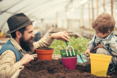 Bahar. Bahar geliyor. Baba ve oğul bahar serada iş. dikim bahar mevsimi. Bahçe favori benim tutkum.