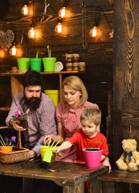 Çiçek Bakımı sulama. Toprak gübre. bahar çiçekleri ile mutlu bahçıvanlar. kadın, adam ve küçük çocuk çocuk doğayı seviyor. Aile günü. Sera. Baba ve anne ile oğul. Benim tutkum benim görevim