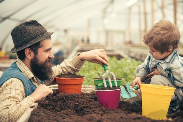 Printemps. le printemps arrive. père et fils travaillent dans une serre de printemps. plantation de saison de printemps. jardinage est ma passion préférée . — Photo