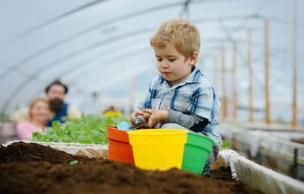 Kid i växthus. lycklig unge jobbar i växthus. av växthusgaser kid affärer. Kid i växthus med litet barn trädgårdsmästare. Han älskar sitt jobb. — Stockfoto