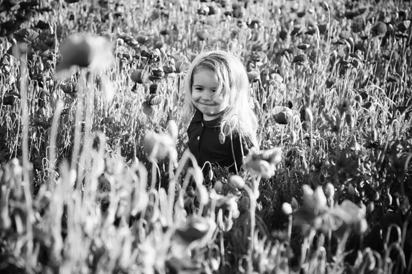 Lindo niño en campo de amapola en veranos calurosos —  Fotos de Stock