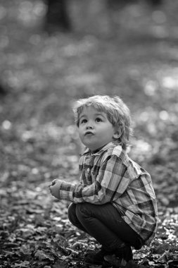 Sonbahar ormandaki Active çocuk oyun. Çocuk için temiz hava üzerinde aktif dinlenme