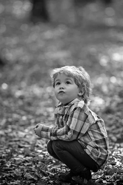 Niño activo jugar en el bosque de otoño. El descanso activo al aire libre para el chiquitín —  Fotos de Stock