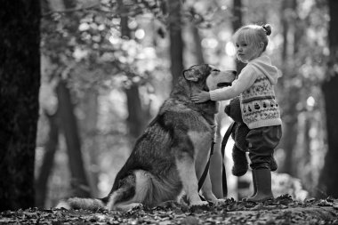 Çocukluk, oyun ve eğlence. Sonbahar ormanda köpek ile küçük kız. Etkinlik ve aktif dinlenme. Kırmızı başlıklı kız masal ormanda kurt ile. Dış yapraklar ve temiz hava açık üzerinde oyuncak ayı ile Çocuk oyun