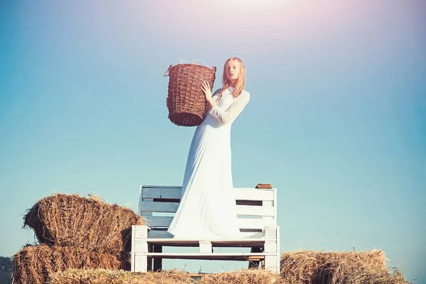 Albino chica mantenga canasta de mimbre con heno en el sol al aire libre. Mujer novia en vestido de novia en banco de madera. Mujer sexy con el pelo largo y rubio. Modelo de moda en el cielo azul — Foto de Stock