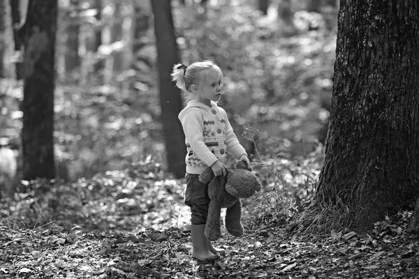 Niño con osito de peluche en bosques de cuento de hadas. Niño con juguete disfrutar del aire libre al aire libre —  Fotos de Stock