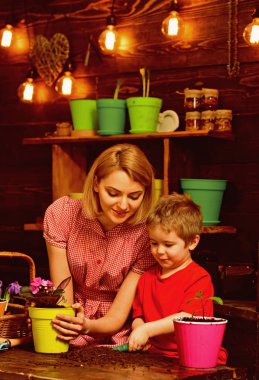 Yetiştirme kavramı. Küçük çocuk annesi yetiştirme çiçek yardımcı. Anne ve oğlu bitki yetiştirme beslemek. Yetiştirme genç çocuk