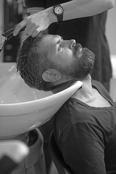 Hipster getting groomed in hair salon