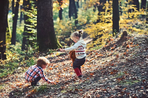 Kız ve erkek kardeşim temiz hava iyi eğlenceler. Kız ve erkek kardeşim sonbahar orman oyun oynamak — Stok fotoğraf