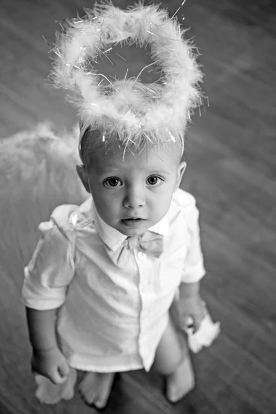 Lo svolazzare delle sue ali. Piccolo angelo. Angelo di Natale. Adorabile angioletto. Ragazzino con ali d'angelo e aureola. Carino San Valentino Cupido o cherubino bambino. Festa di Natale celebrazione — Foto Stock