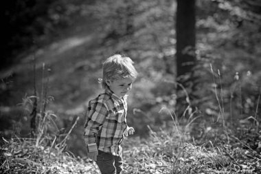 Renkli sarı sonbahar ağaçlar arasında güzel yolda yürüyen mutlu gülen çocuk