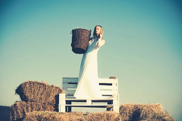 Mujer novia en vestido de novia en banco de madera. Albino chica mantenga canasta de mimbre con heno en el picnic al aire libre soleado. Mujer sexy con el pelo largo y rubio. Modelo de moda en el cielo azul — Foto de Stock