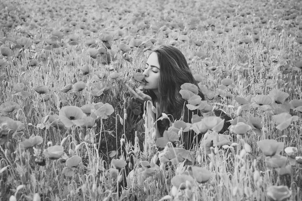 Belleza, verano, primavera, semillas de amapola . — Foto de Stock