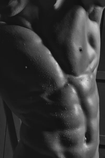 Mužský svalnatý trup — Stock fotografie