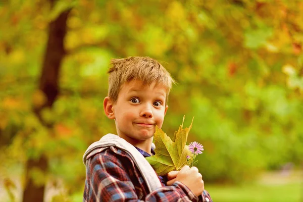Liście opadają jesienią. Mały chłopiec przytrzymaj jesiennych liści. Mały chłopiec Zapraszamy do gry na jesień krajobraz. Jesień to druga wiosna, kiedy każdy liść jest kwiat — Zdjęcie stockowe