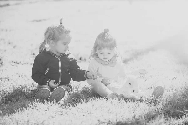 Frère et soeur jouer avec jouet cheval sur sunny jour — Photo