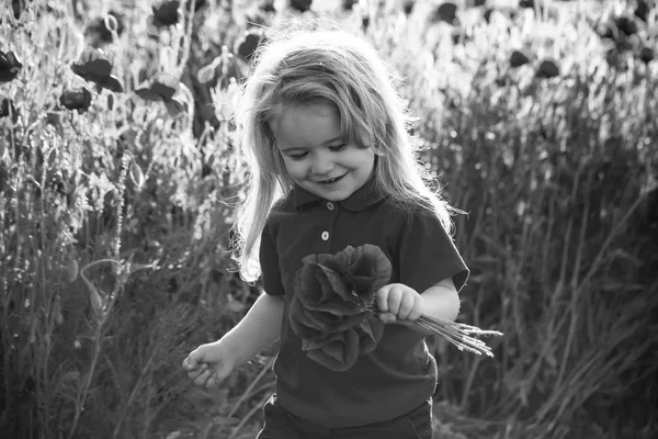 Niño pequeño o niño en el campo de semillas de amapola —  Fotos de Stock