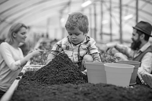 Koncentrált gyerek ül nagy halom talaj mögött. Aranyos fiú játszik, zöld, sárga és narancssárga edények, miközben a szülei dolgozik az üvegházhatást okozó — Stock Fotó