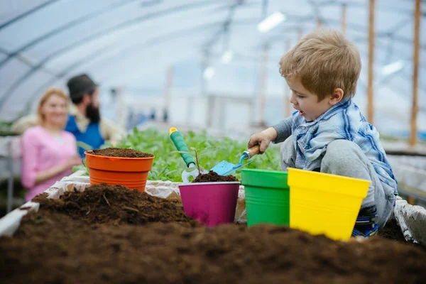 testing soil. small gardener testing soil in greenhouse. farm expert child testing soil. testing soil concept. when will it grow.