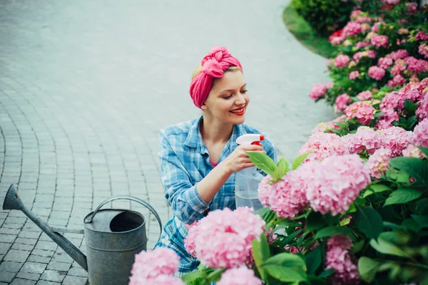 Жінка доглядає за квітами в саду. щаслива жінка садівник з квітами. Тепличні квіти. гортензія. Весна і літо. Догляд за квітами та полив. ґрунти та добрива. Жіночий флорист на роботі — стокове фото