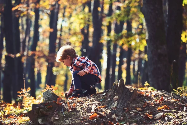 Actividad y descanso activo para el niño. Un niño pequeño juega en el bosque de otoño. Vacaciones de otoño y camping. Principito en los bosques de cuento de hadas. Niño jugar al aire libre al aire libre — Foto de Stock