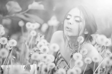 karahindiba alan ve moda makyaj güzel kız