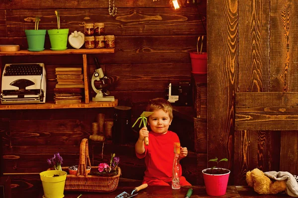 Kind concept. Kindje met tuingereedschap. Schattig kind in tuinhuisje. Gelukkig kind tuinman — Stockfoto