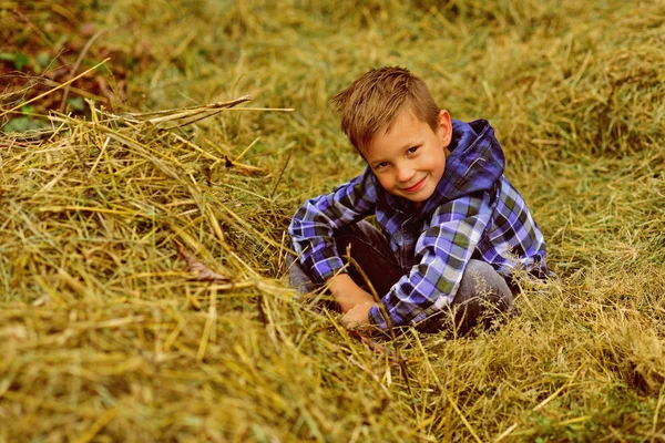 Im chłopca gospodarstwa. Mały chłopiec w stodole na farmie. Mały chłopiec cieszyć się wieś ferma wakacje. Małe dziecko relaks w hayloft. Gospodarstwo rolne brzmi tak miły i spokojny — Zdjęcie stockowe