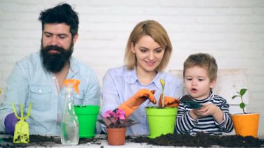 Baba, anne ve onların oğlu bitki çiçek renkli tencere. Bir kürek kemiği bir çocukla bir pot ve bitki çiçek bu ailesi ile birlikte içine yere dökülen.