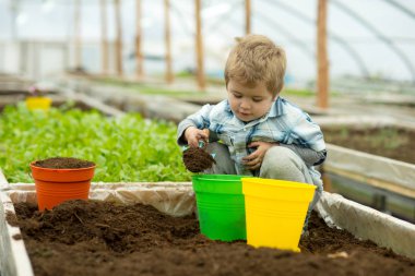 çiftlik sanayi. küçük çocuk çalışma çiftlik Sektöründen. çiftlik sanayi kavramı. çiftlik sanayi ekimi. bitkiler ile çalışma.