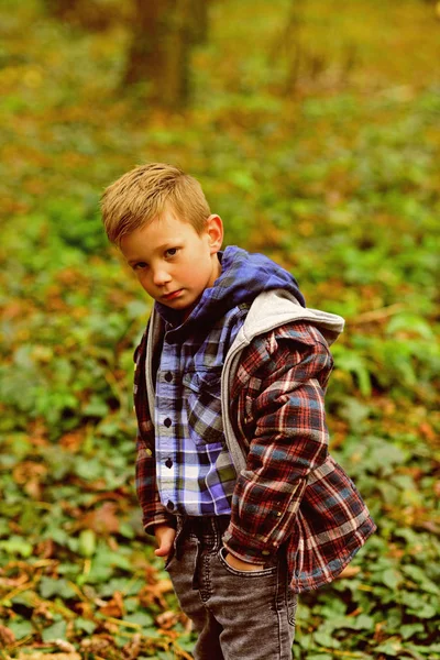 Inspirowane przez jesień. Mały chłopiec wędrówki w lesie jesienią. Mały chłopiec cieszyć się jesienny dzień. Wrześniowe dni są tutaj — Zdjęcie stockowe