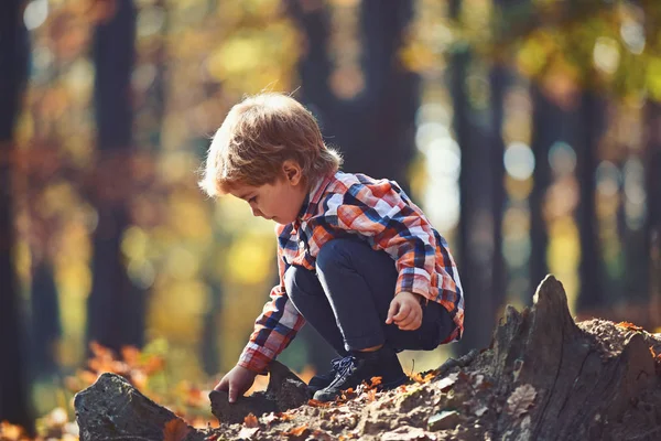 Осенний отдых и кемпинг. Активность и активный отдых для ребенка. Дети играют на свежем воздухе на открытом воздухе. Маленький принц в сказочном лесу. Маленький мальчик играет в осеннем лесу — стоковое фото